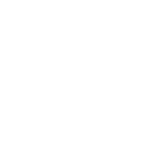 Dualmind